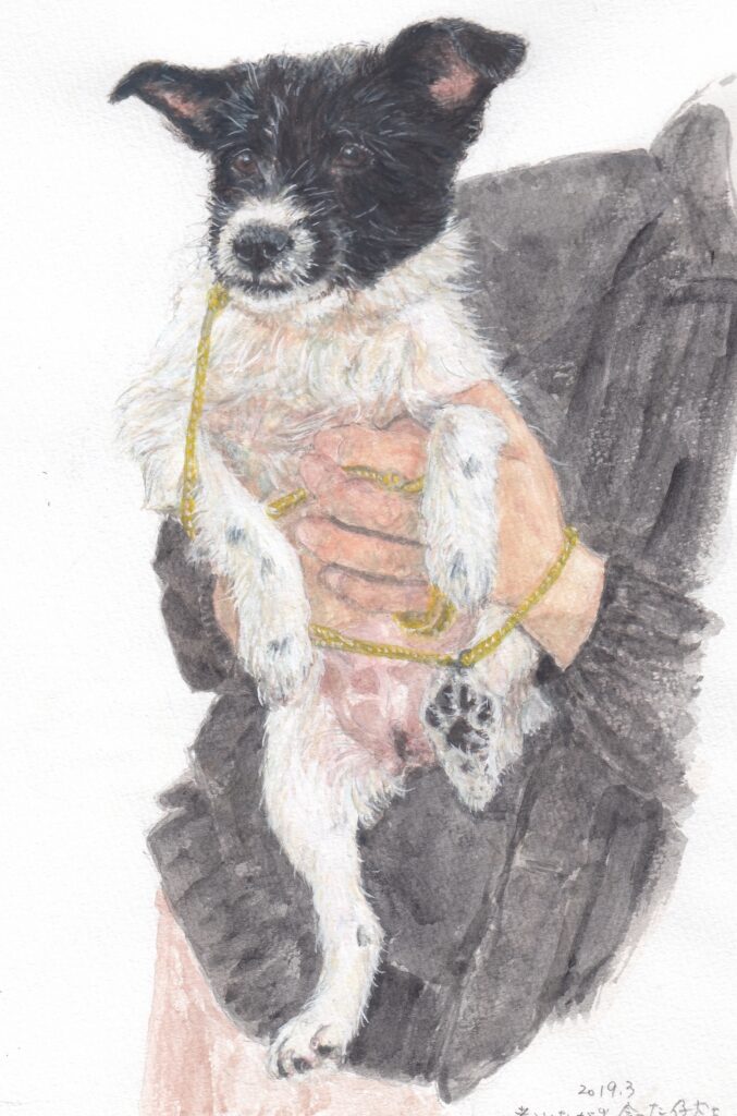 水彩画、犬の絵。おじさんに両手で持ち上げられている仔犬。少し癖毛。顔は黒、体は白で薄いぶちあり。両耳は半分垂れた状態。穏やかに遠くを見ている瞳。