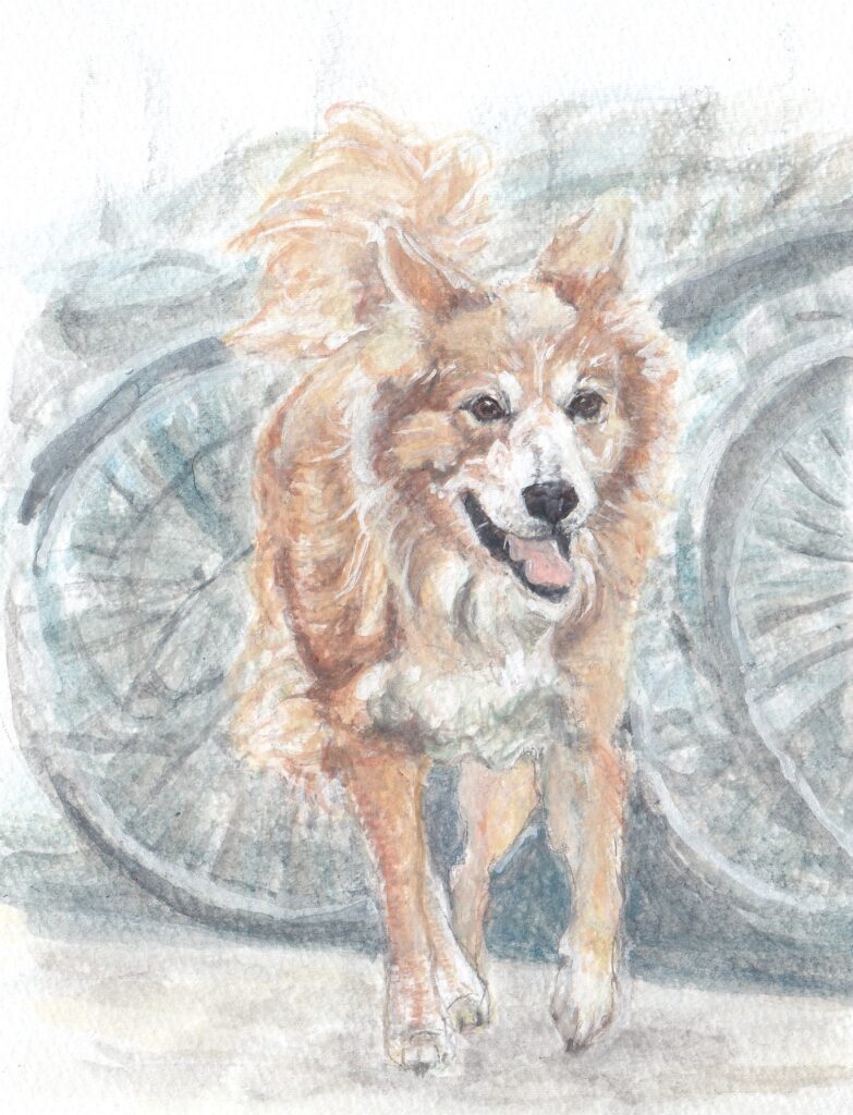 犬の水彩画。道路沿いに自転車がたくさん止めてある。向こうから一匹でテクテクと歩いてくる一匹の犬。気は長め、茶色っぽい。たち耳、フサフサしっぽが揺れている。